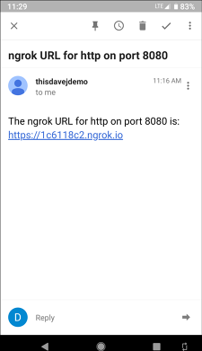 ngrok-notify email